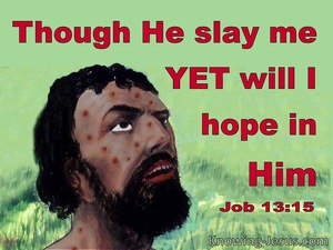 Job 13:15
